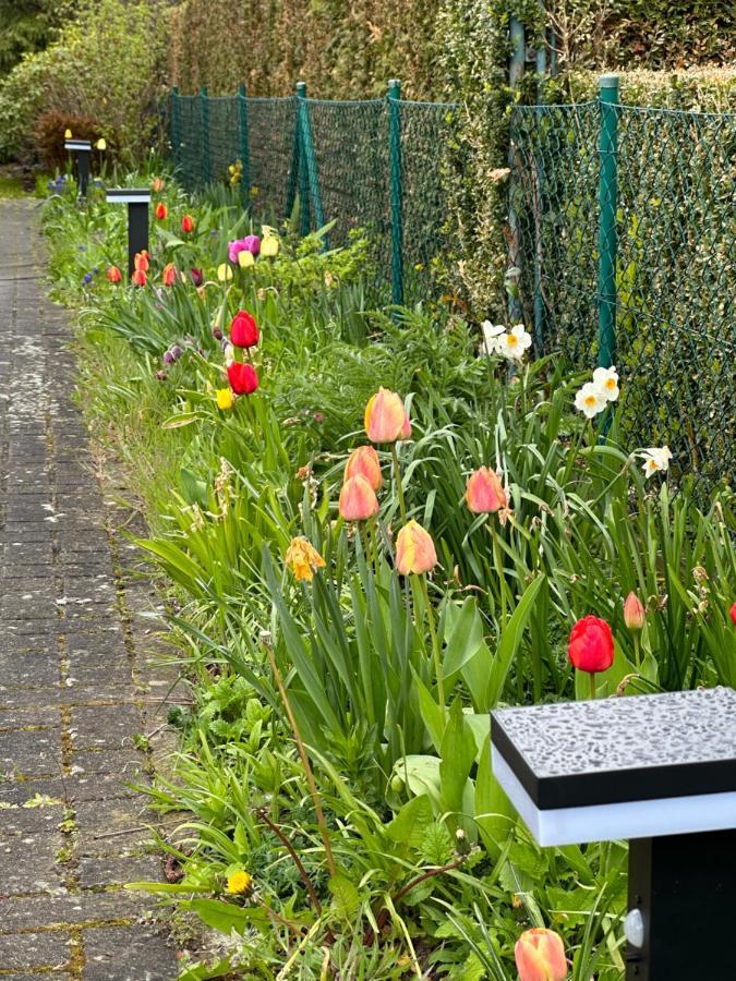 Familienurlaub Im Gruenen Apartment Wernigerode Ngoại thất bức ảnh