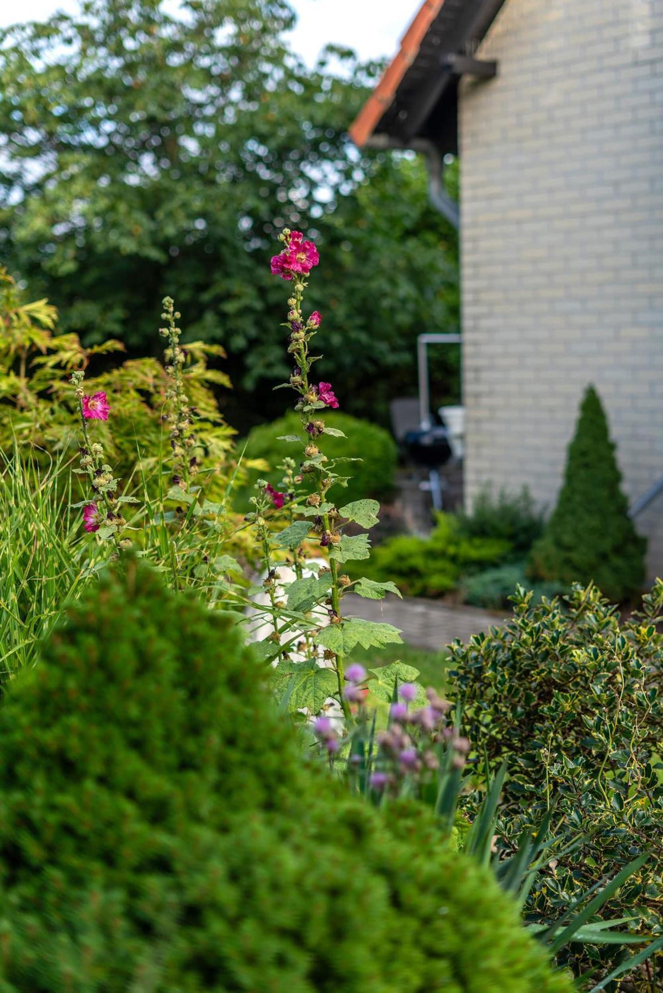 Familienurlaub Im Gruenen Apartment Wernigerode Ngoại thất bức ảnh